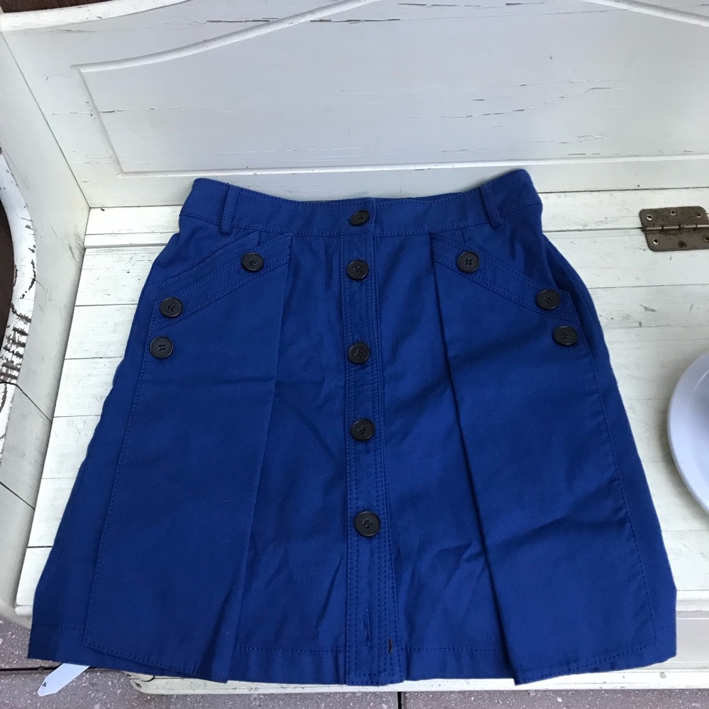 Small button up blue skirt